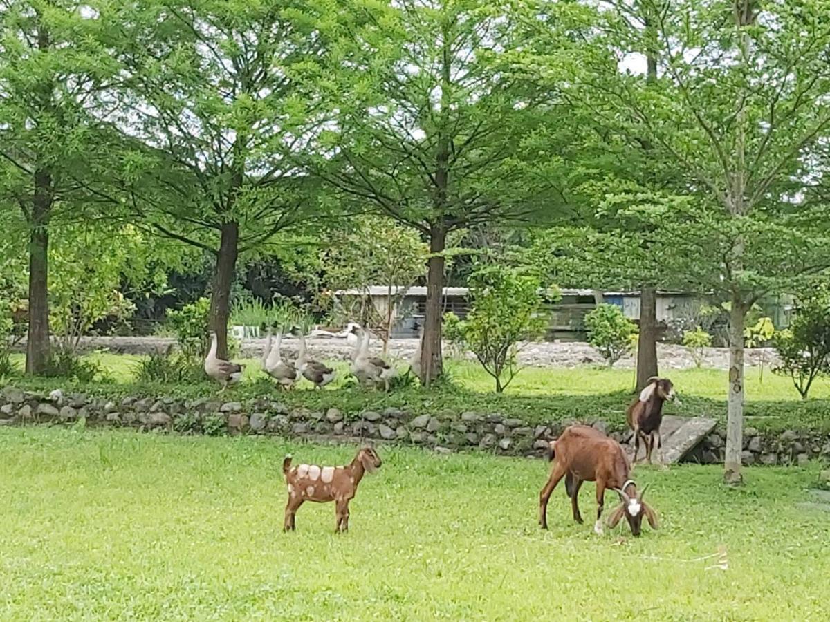 Meihua Lake Leisure Farm Dongshan  Εξωτερικό φωτογραφία